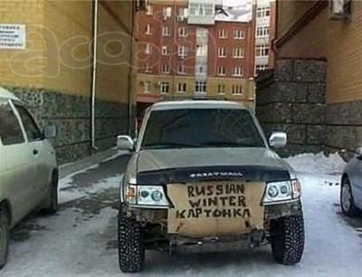 картон