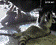 помощник 