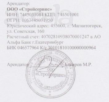 организация